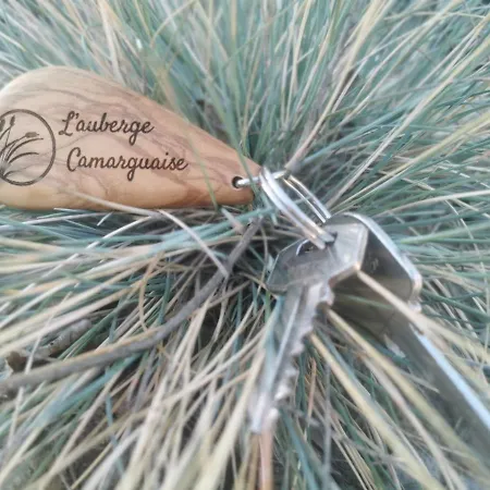 L'auberge Camarguaise Saintes-Maries-de-La-Mer